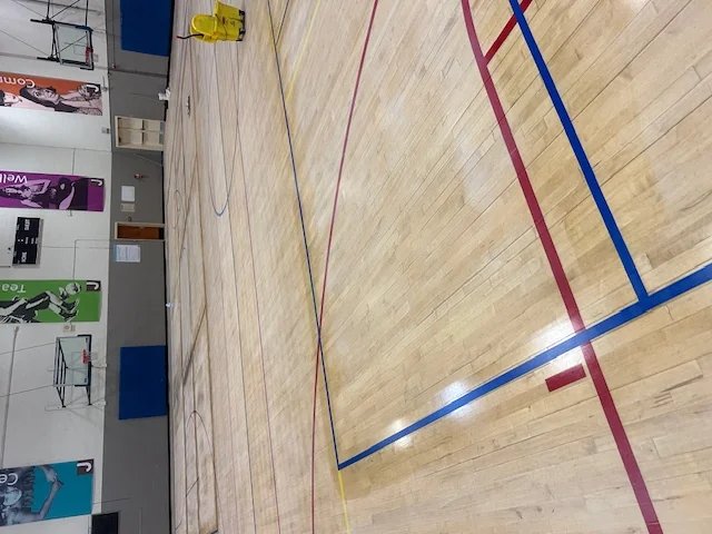 Gymnasium floor before professional screening and recoating - dull worn finish